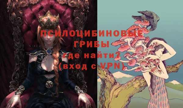 бошки Алексеевка