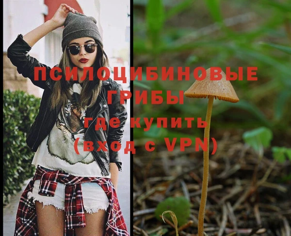 бошки Алексеевка